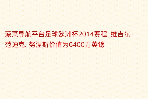 菠菜导航平台足球欧洲杯2014赛程_维吉尔·范迪克: 努涅斯价值为6400万英镑