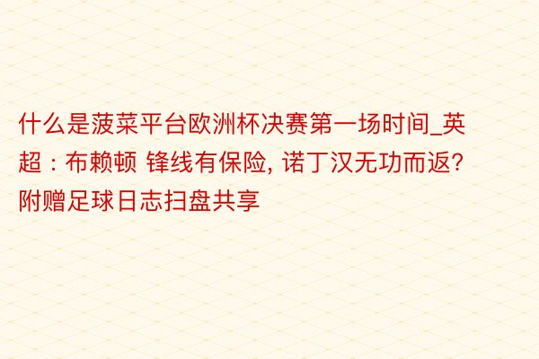 什么是菠菜平台欧洲杯决赛第一场时间_英超 : 布赖顿 锋线有保险, 诺丁汉无功而返? 附赠足球日志扫盘共享