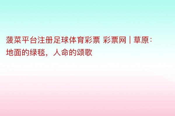 菠菜平台注册足球体育彩票 彩票网 | 草原：地面的绿毯，人命的颂歌